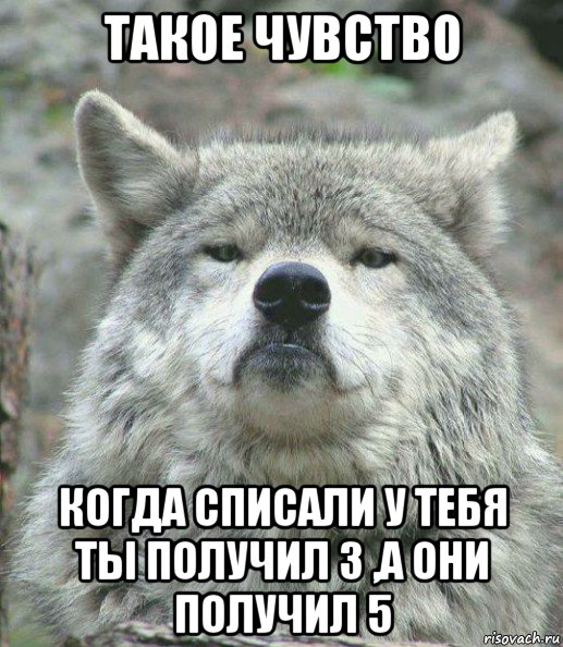 такое чувство когда списали у тебя ты получил 3 ,а они получил 5