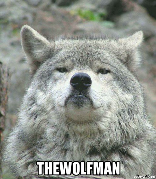  thewolfman, Мем    Гордый волк