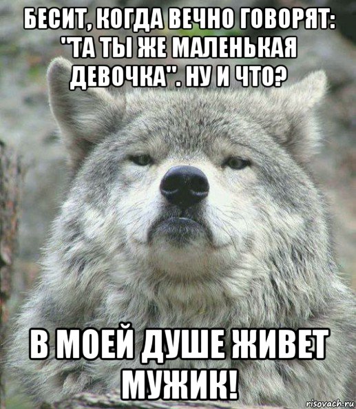 бесит, когда вечно говорят: "та ты же маленькая девочка". ну и что? в моей душе живет мужик!, Мем    Гордый волк