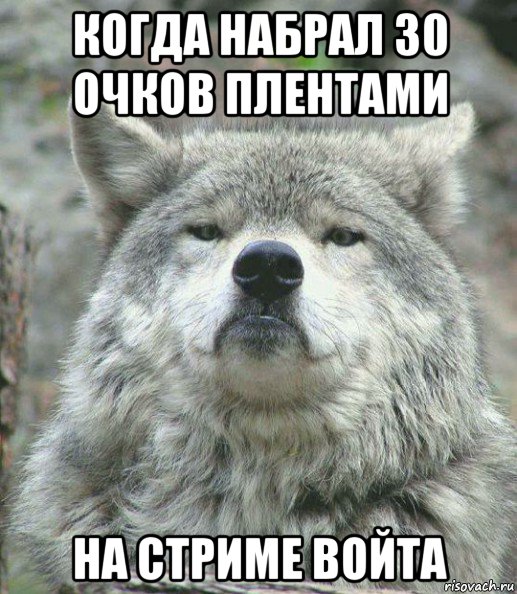 когда набрал 30 очков плентами на стриме войта, Мем    Гордый волк