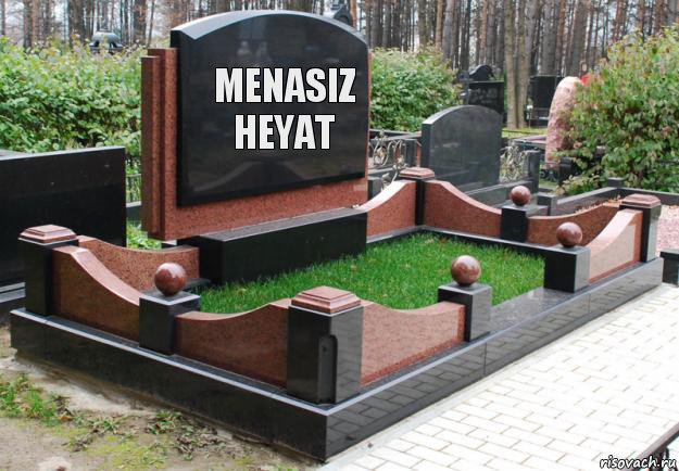 MENASIZ HEYAT, Комикс  гроб