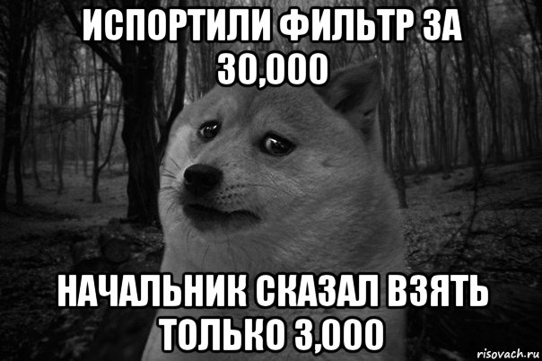 испортили фильтр за 30,000 начальник сказал взять только 3,000, Мем    Грусть-пичаль