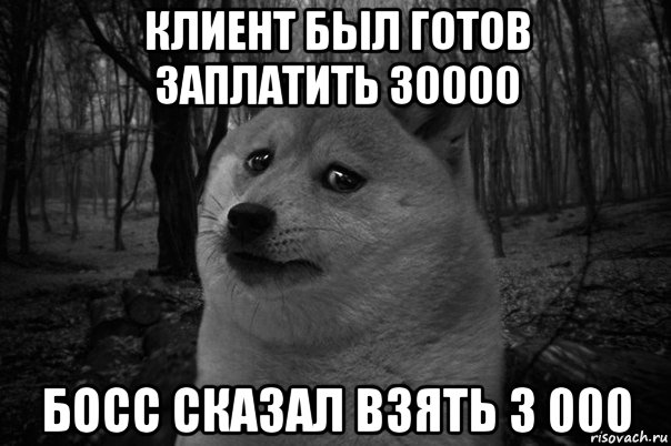 клиент был готов заплатить 30000 босс сказал взять 3 000, Мем    Грусть-пичаль