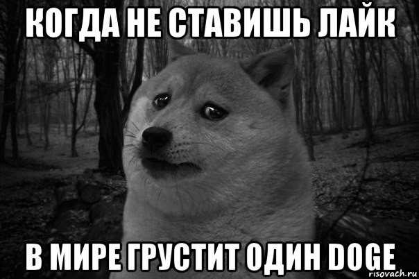 когда не ставишь лайк в мире грустит один doge, Мем    Грусть-пичаль