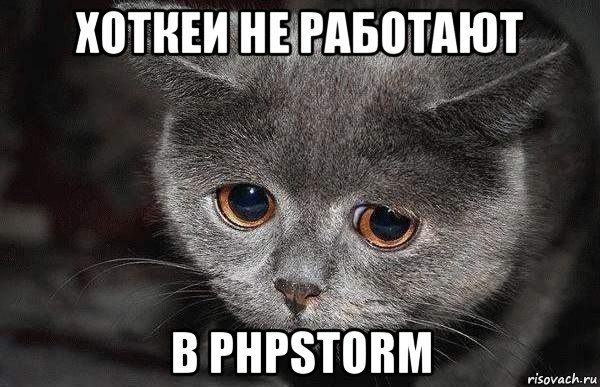 хоткеи не работают в phpstorm, Мем  Грустный кот