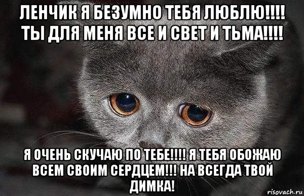 ленчик я безумно тебя люблю!!!! ты для меня все и свет и тьма!!!! я очень скучаю по тебе!!!! я тебя обожаю всем своим сердцем!!! на всегда твой димка!, Мем  Грустный кот