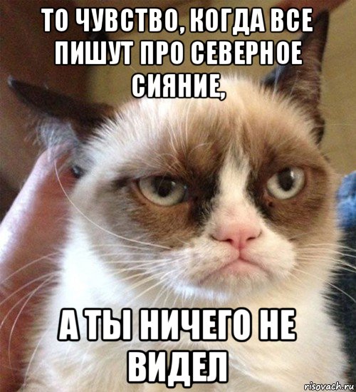 то чувство, когда все пишут про северное сияние, а ты ничего не видел, Мем Грустный (сварливый) кот