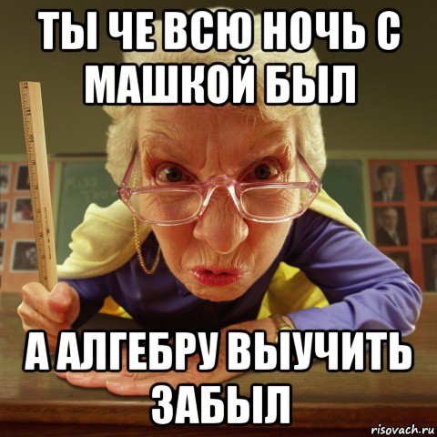 ты че всю ночь с машкой был а алгебру выучить забыл, Мем Злая училка