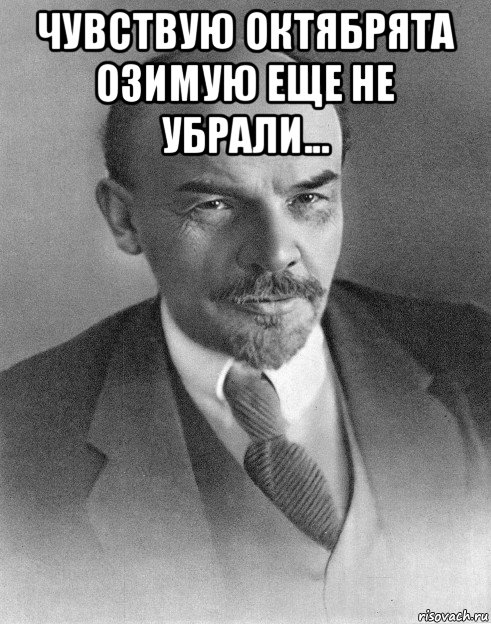 чувствую октябрята озимую еще не убрали... 