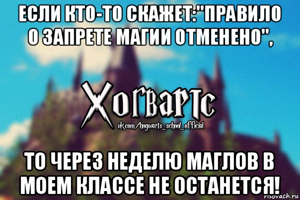 если кто-то скажет:"правило о запрете магии отменено", то через неделю маглов в моем классе не останется!, Мем Хогвартс