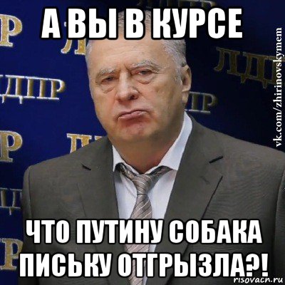 а вы в курсе что путину собака письку отгрызла?!, Мем Хватит это терпеть (Жириновский)