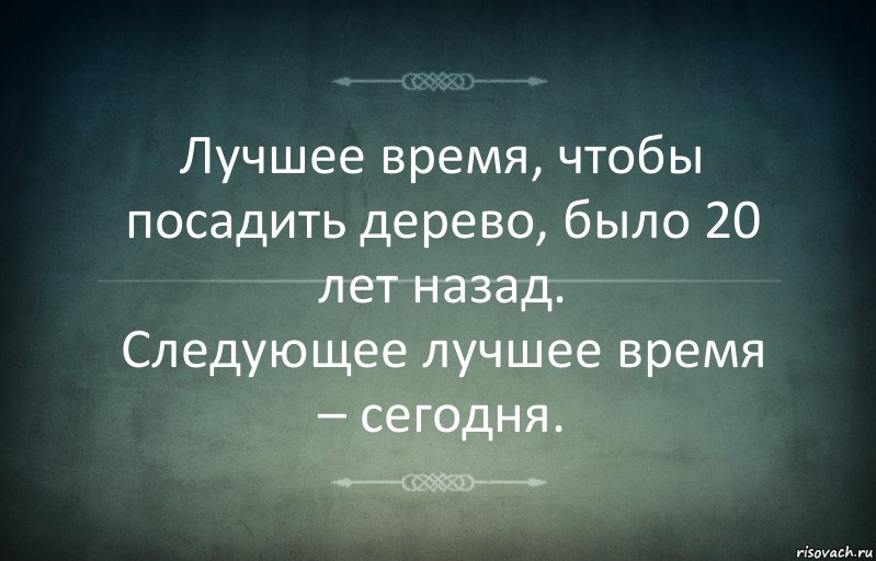 Лучшее время, чтобы посадить дерево, было 20 лет назад.
Следующее лучшее время – сегодня.