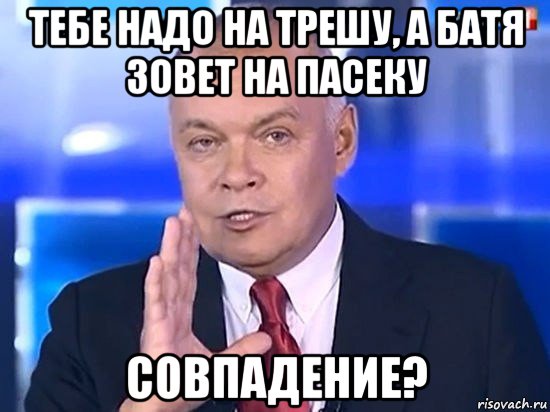 тебе надо на трешу, а батя зовет на пасеку совпадение?, Мем Киселёв 2014