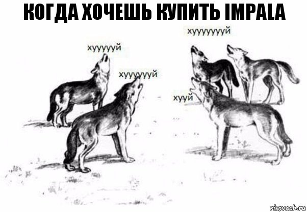 когда хочешь купить impala