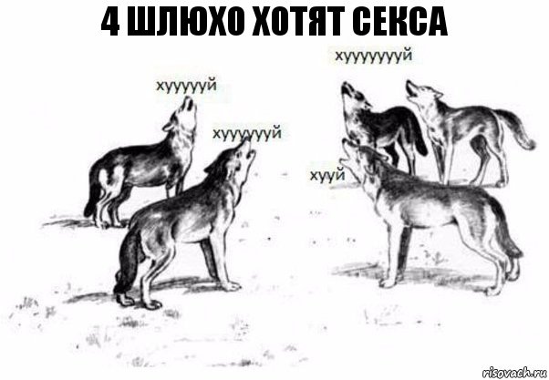 4 ШЛЮХО ХОТЯТ СЕКСА