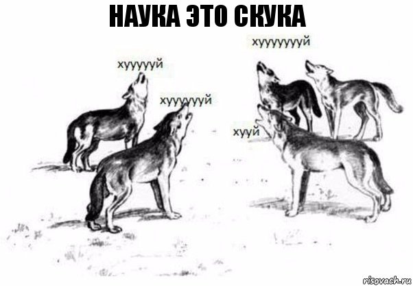 Наука Это скука, Комикс Когда хочешь