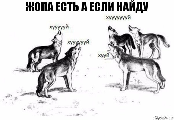 жопа есть а если найду