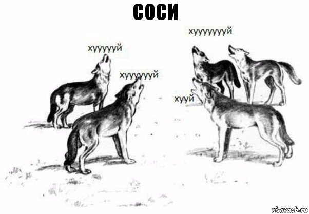 СОСИ, Комикс Когда хочешь