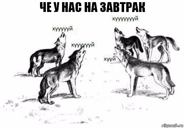 Че у нас на завтрак