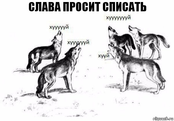 Слава просит списать