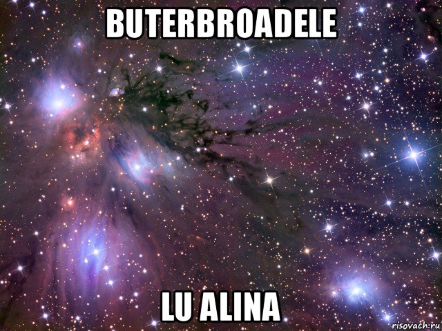 buterbroadele lu alina, Мем Космос