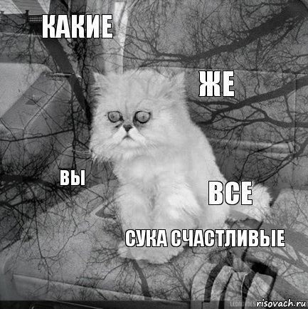 какие все же  вы  сука счастливые   , Комикс  кот безысходность