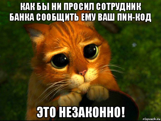 как бы ни просил сотрудник банка сообщить ему ваш пин-код это незаконно!, Мем кот из шрека