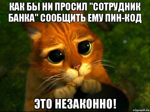 как бы ни просил "сотрудник банка" сообщить ему пин-код это незаконно!, Мем кот из шрека