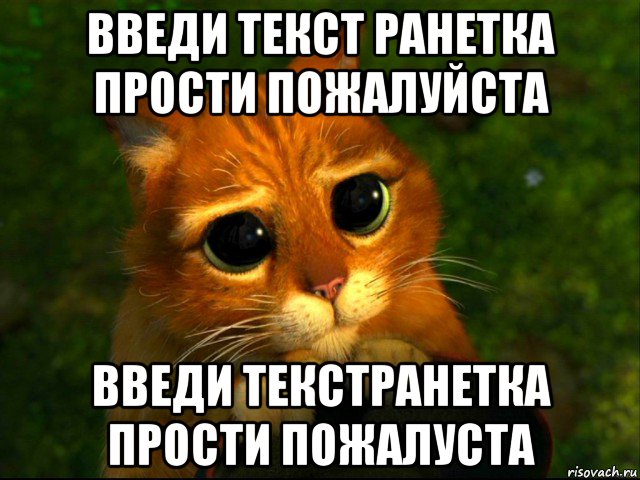 введи текст ранетка прости пожалуйста введи текстранетка прости пожалуста, Мем кот из шрека