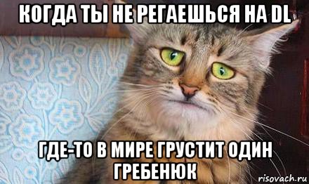 когда ты не регаешься на dl где-то в мире грустит один гребенюк, Мем  кот печаль