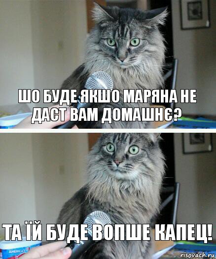 шо буде якшо маряна не даст вам домашнє? та їй буде вопше КАПЕЦ!, Комикс  кот с микрофоном