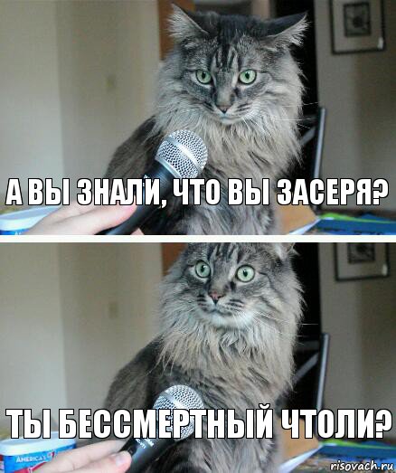 А вы знали, что вы засеря? Ты бессмертный чтоли?, Комикс  кот с микрофоном