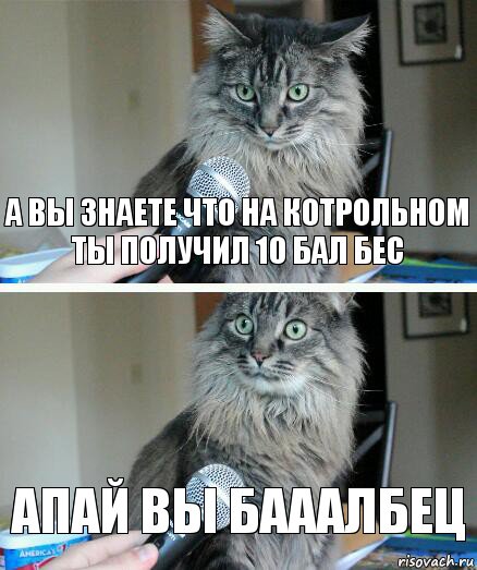 а вы знаете что на котрольном ты получил 10 бал бес апай вы бааалбец, Комикс  кот с микрофоном