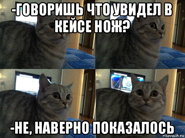 -говоришь что увидел в кейсе нож? -не, наверно показалось, Мем  Кот в шоке