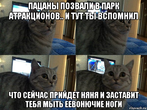 пацаны позвали в парк атракционов.. и тут ты вспомнил что сейчас прийдет няня и заставит тебя мыть еевонючие ноги, Мем  Кот в шоке