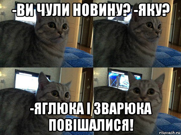 -ви чули новину? -яку? -яглюка і зварюка повішалися!, Мем  Кот в шоке