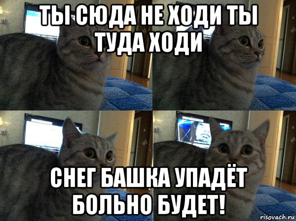 ты сюда не ходи ты туда ходи снег башка упадёт больно будет!, Мем  Кот в шоке