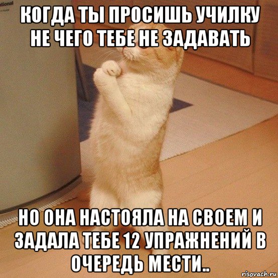 когда ты просишь училку не чего тебе не задавать но она настояла на своем и задала тебе 12 упражнений в очередь мести.., Мем  котэ молится