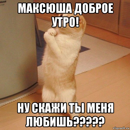 максюша доброе утро! ну скажи ты меня любишь?????, Мем  котэ молится