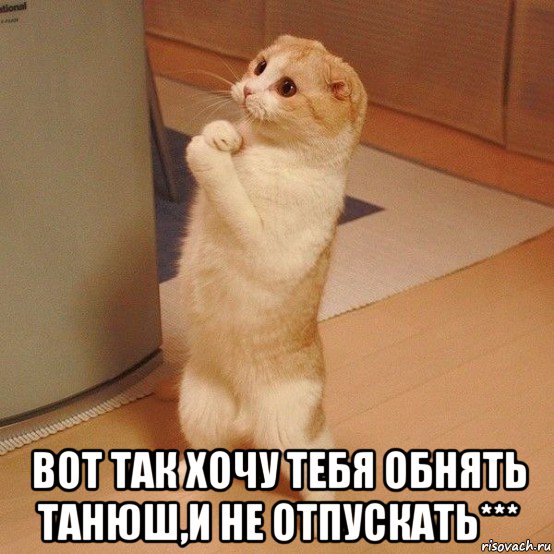  вот так хочу тебя обнять танюш,и не отпускать***, Мем  котэ молится