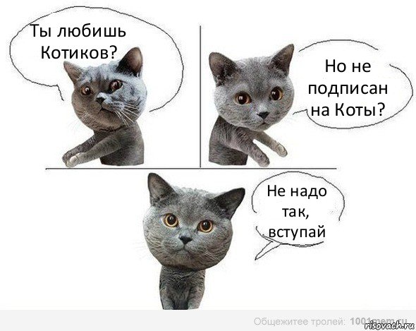 Ты любишь Котиков? Но не подписан на Коты? Не надо так, вступай, Комикс  Котики