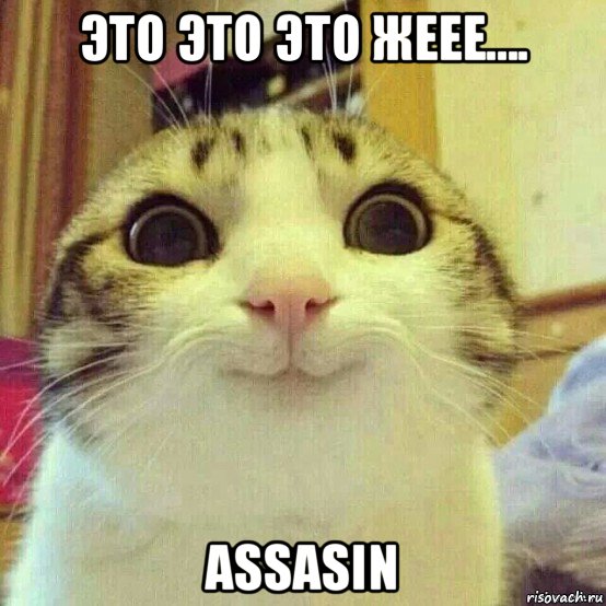 это это это жеее.... assasin, Мем       Котяка-улыбака