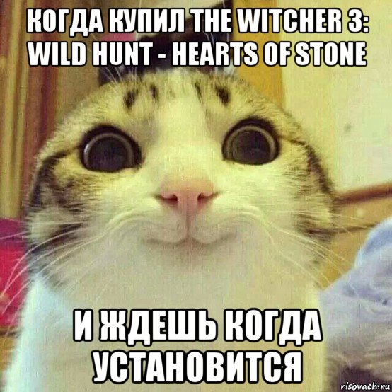 когда купил the witcher 3: wild hunt - hearts of stone и ждешь когда установится, Мем       Котяка-улыбака