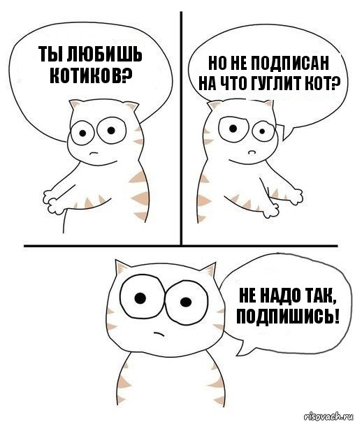 Ты любишь Котиков? Но не подписан на Что гуглит кот? Не надо так, подпишись!, Комикс Не надо так кот