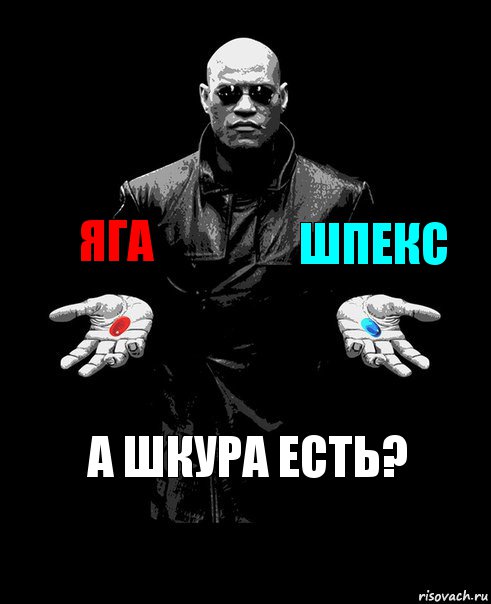 ЯГА ШПЕКС А ШКУРА ЕСТЬ?, Комикс Выбор