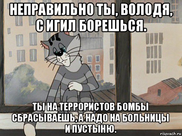 неправильно ты, володя, с игил борешься. ты на террористов бомбы сбрасываешь, а надо на больницы и пустыню., Мем Матроскин