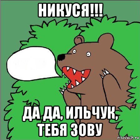 никуся!!! да да, ильчук, тебя зову, Мем Медведь-шлюха