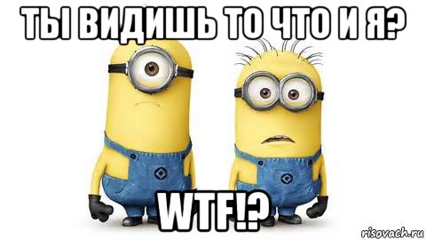 ты видишь то что и я? wtf!?, Мем Миньоны