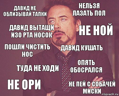 Давид не облизывай тапки Нельзя лазать пол Пошли чистить нос Не ори Опять обосрался Давид кушать Туда не ходи Не пей с собачей миски Давид вытащи изо рта носок Не ной, Комикс мое лицо