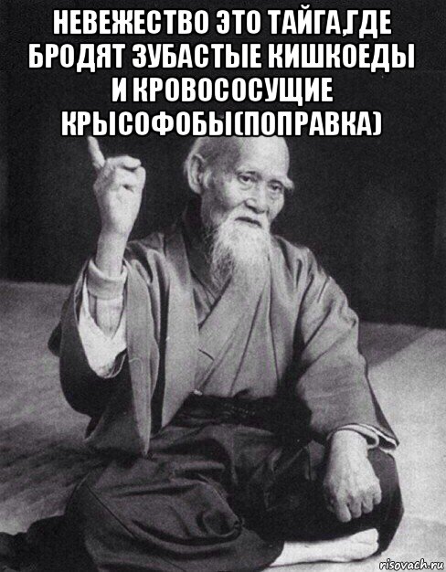 невежество это тайга,где бродят зубастые кишкоеды и кровососущие крысофобы(поправка) , Мем Монах-мудрец (сэнсей)